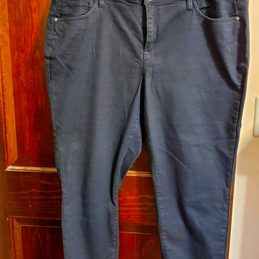 Lane Bryant Jeans